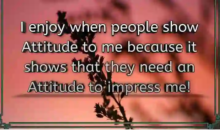 I enjoy when people.. of I enjoy when people show Attitude to me...